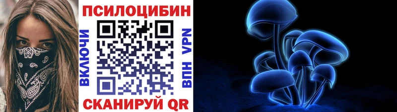 Купить закладки  Шарья  Галлюциногенные грибы Psilocybine cubensis 