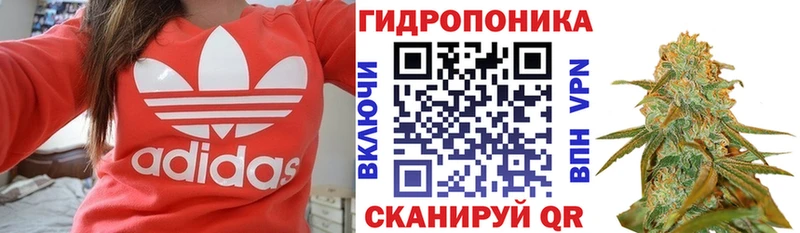 Купить где Шарья Конопля ГИДРОПОН